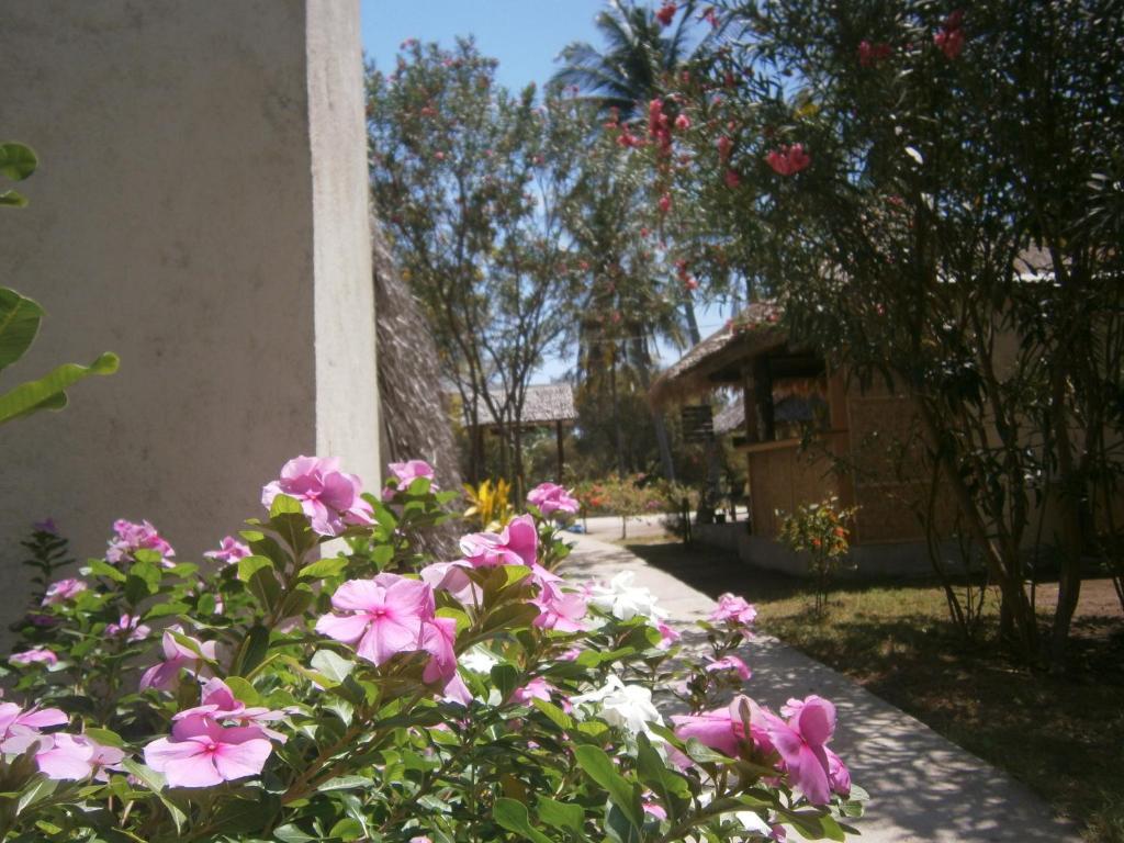 Gili Garden Bungalow Gili Meno Eksteriør billede
